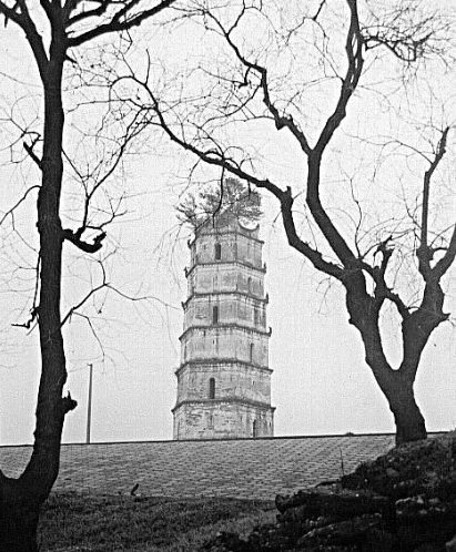 江西省宜春市樟树永泰镇