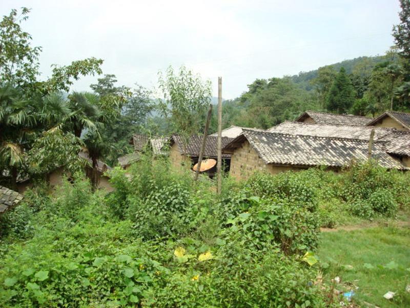  p>邦中新寨村隶属于云南省德宏州陇川县王子树乡邦东行政村,属于山区