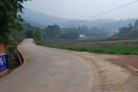 甸中村