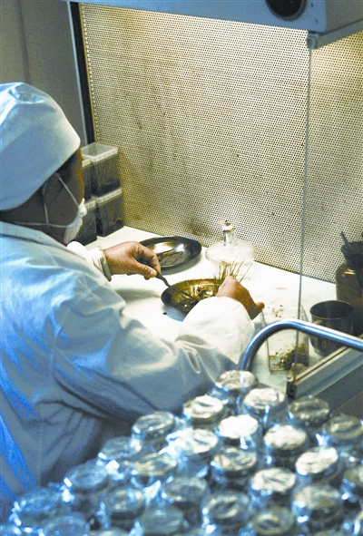 把用于快速繁殖优良品种的植物组织培养技术,叫做植物的微型繁殖技术