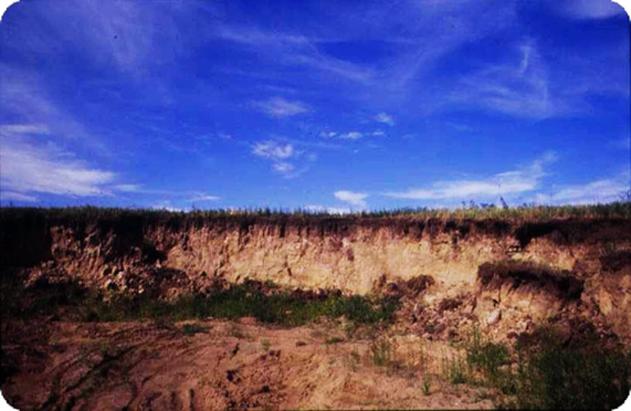  p>褐土(cinnamon soil),半湿润暖温带地区碳酸盐弱度 a target="