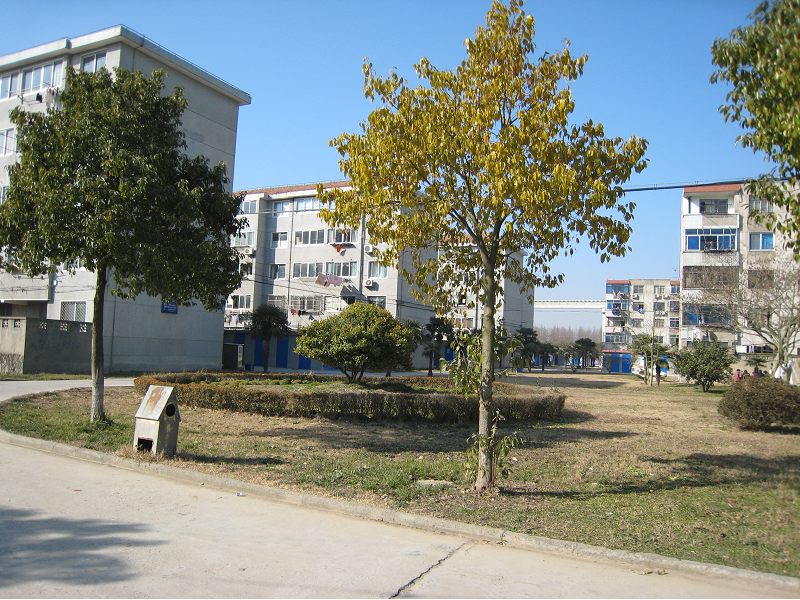  p>上海市南汇区芦潮港农场,位于上海市南汇区西南端.
