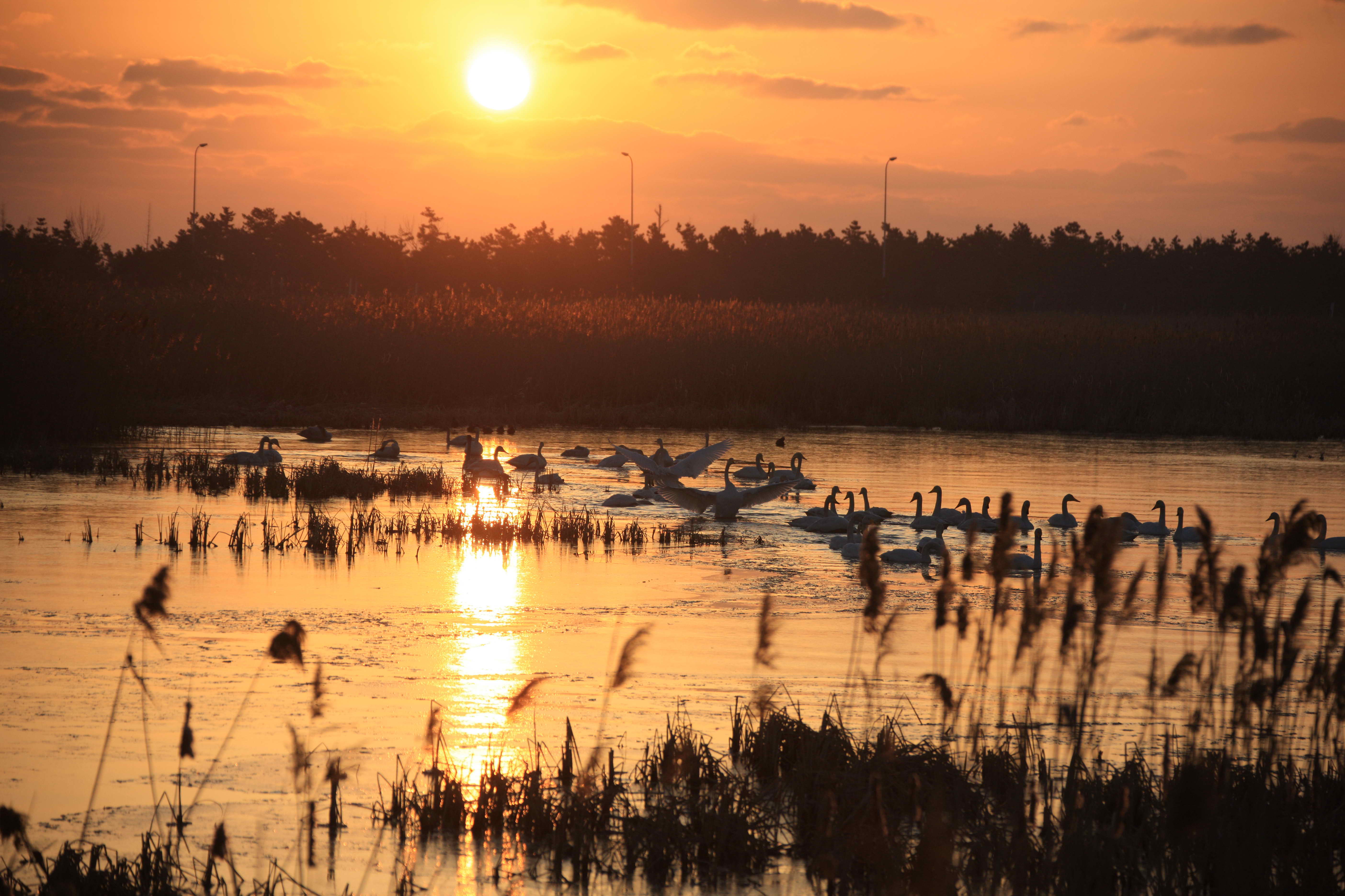 桑沟湾湿地公园