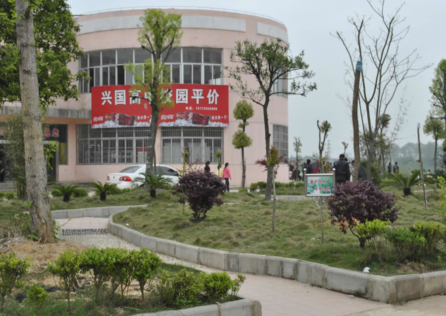 阳新兴国中学