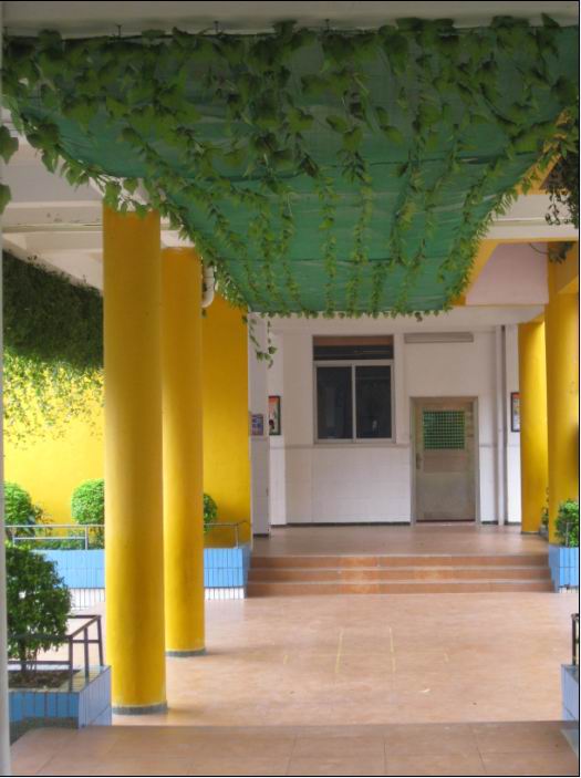 深圳市龙岗区鹏达学校