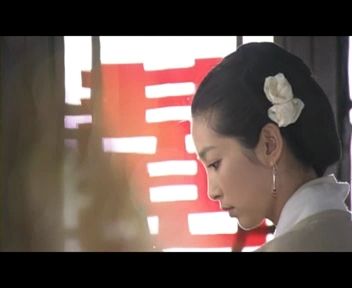 再生缘之孟丽君传