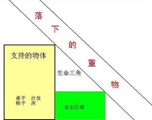 生命三角_百度百科