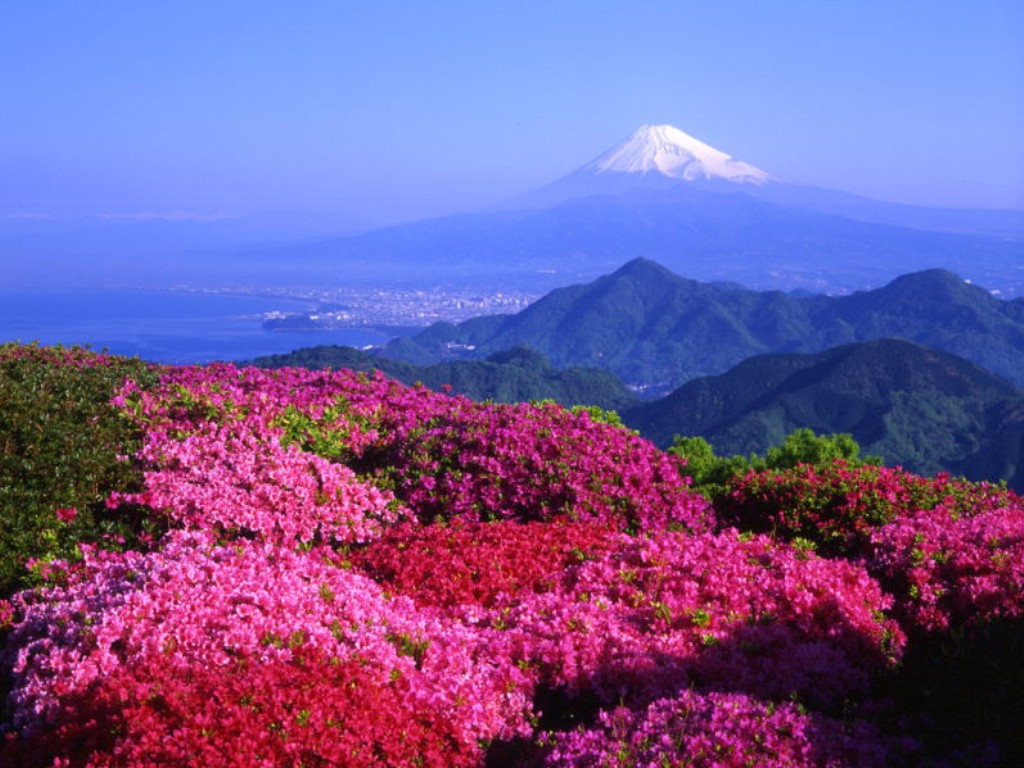  p>山梨县(yamanashi-ken),是日本本州岛中部地方的一个县,是 a data