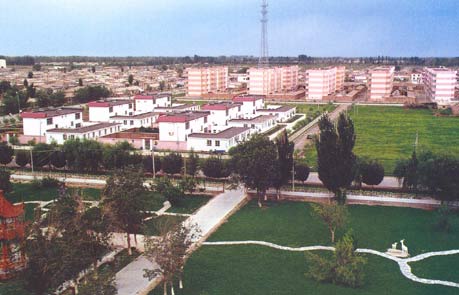 新疆生产建设兵团农七师123团