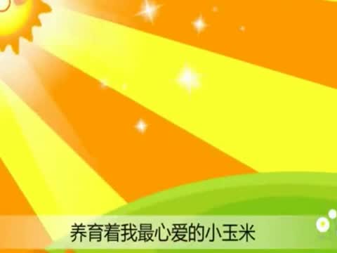 小玉米