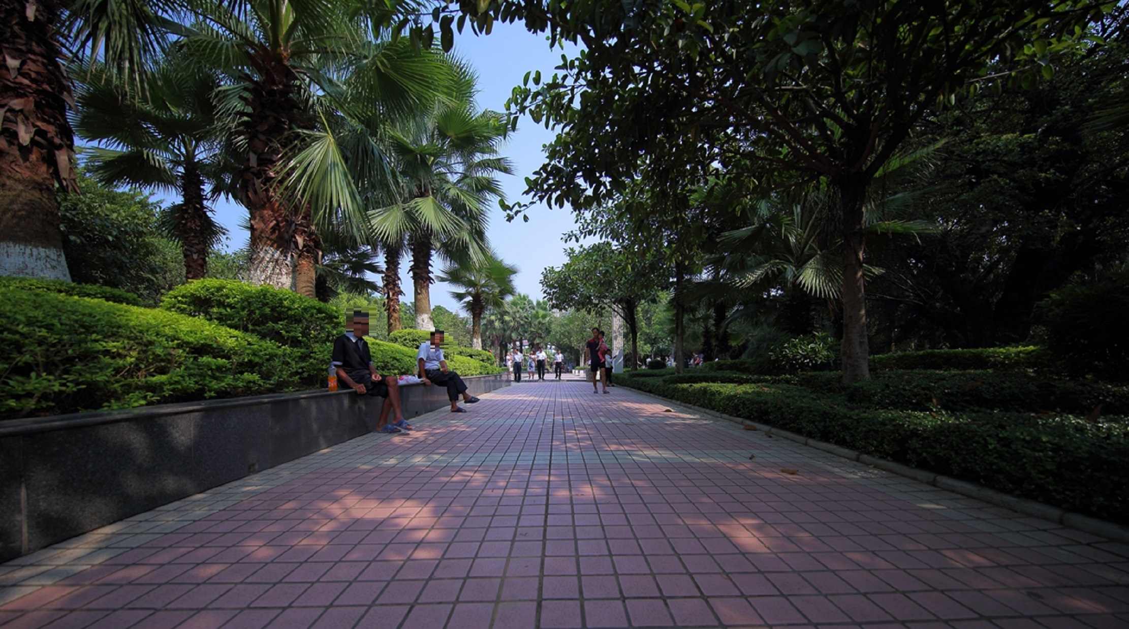 data-lemmaid="7553853">贵港市 /a>马草江公园总体布局概括为:三门两