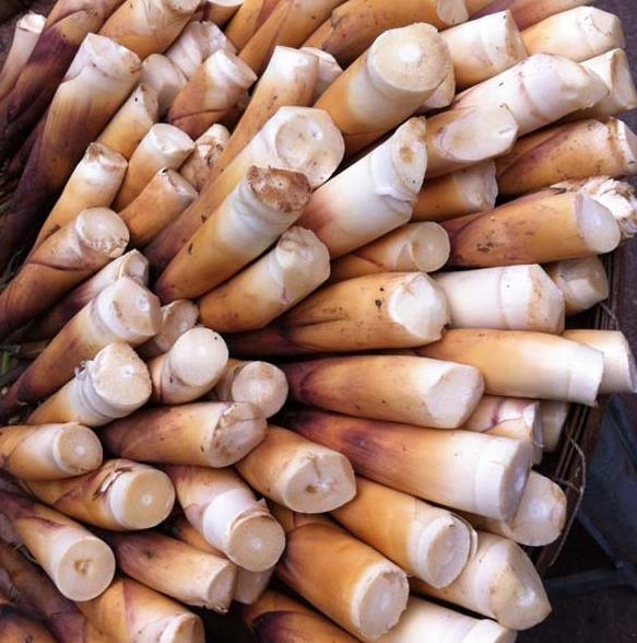  p>长宁苦笋,四川省宜宾市 a target="_blank" href="/item/长宁县