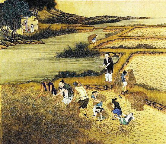 司马代曹而废屯田，中国历史大倒退，若非如此，中国不止如此_百科TA说
