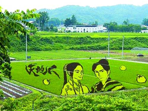 小梦帮倒忙一路青森