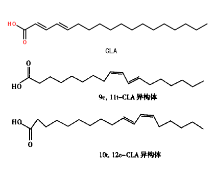 共轭亚油酸cla