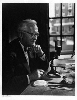  p>亚历山大·弗莱明(alexander fleming,1881年8月6日—1955年3月11