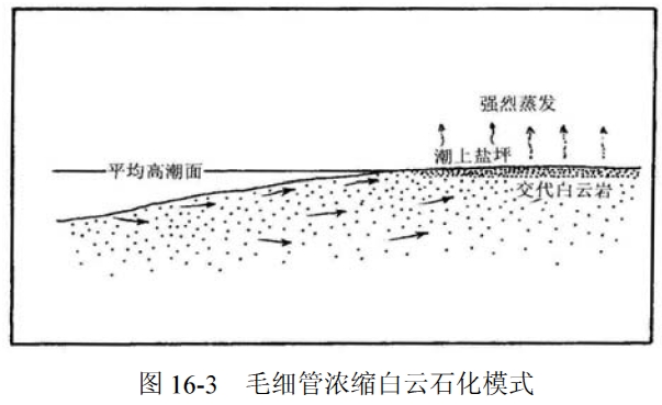 类岩石, a href="#" data-lemmaid="1365489">共生矿物 /a>除白云石外