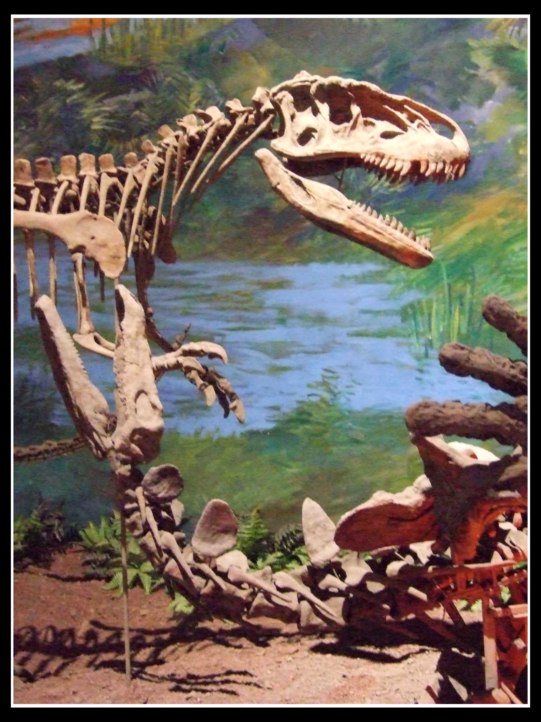 data-lemmaid="1561066">沱江龙 /a>的一种,化石主要分布在中国四川省