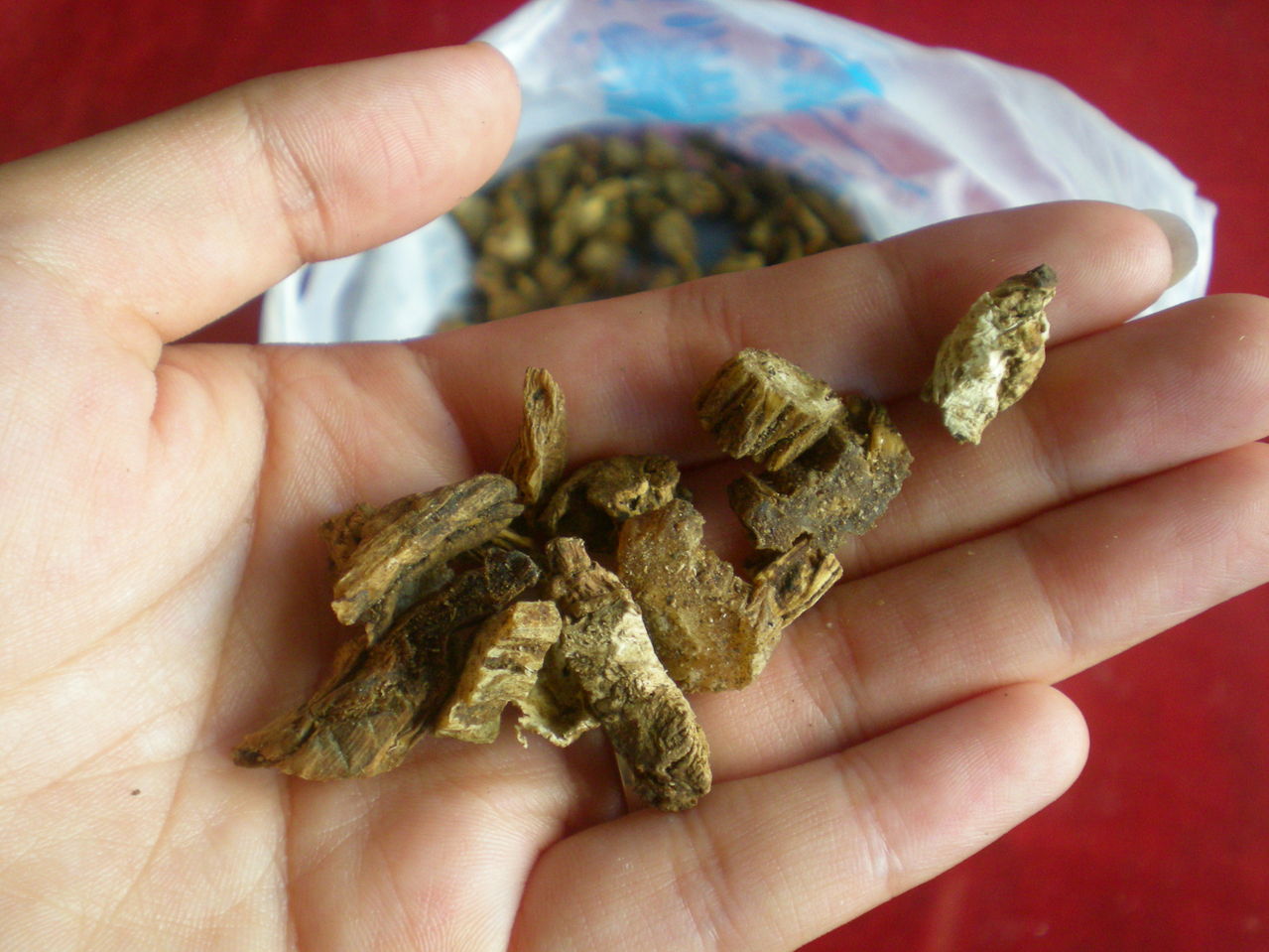 百部还魂