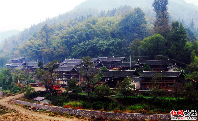  p data-id="gnazlbqg6g">清江湖,即洪江市托口电站库区,因水库干流