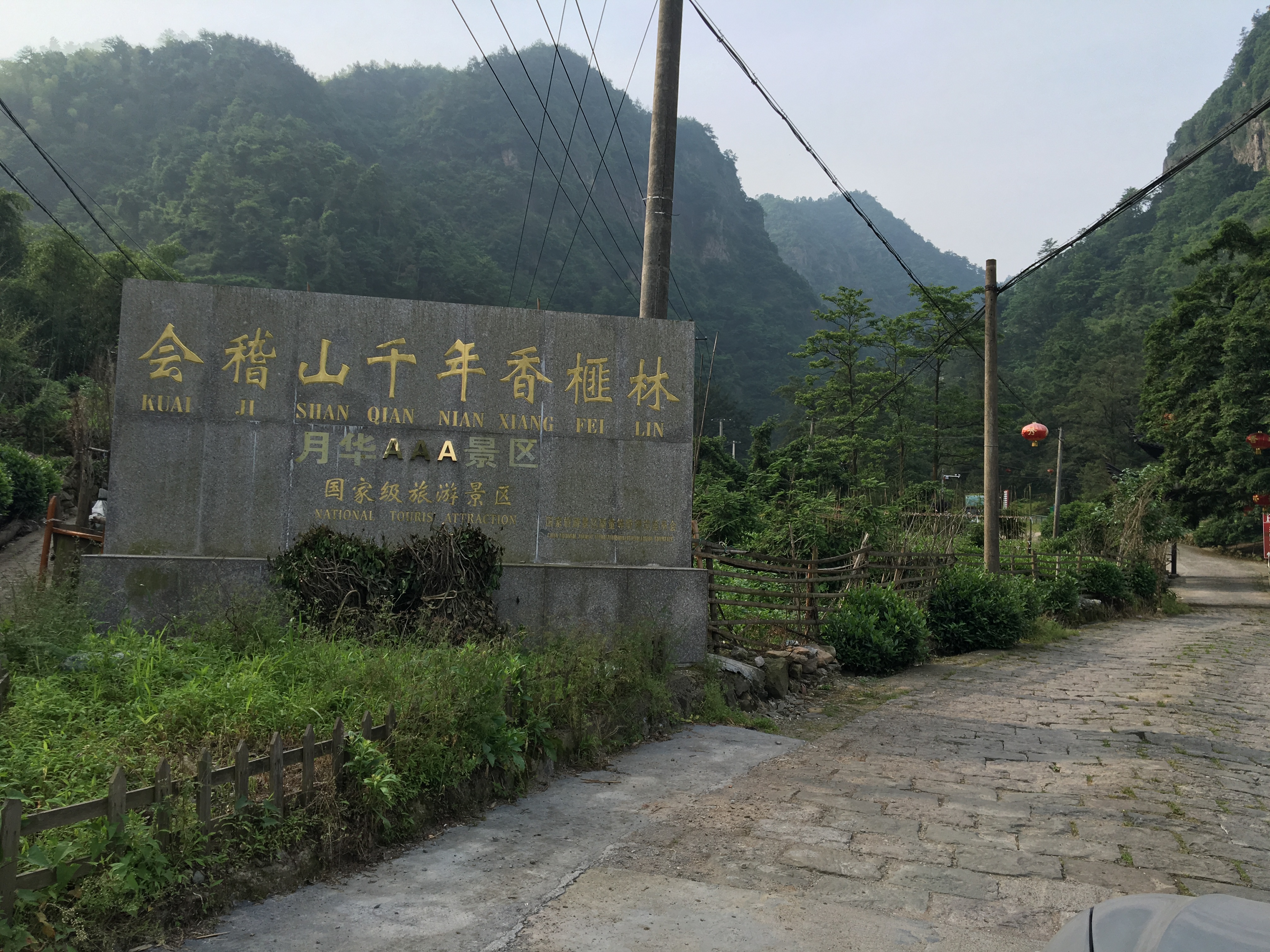 千年香榧林景区