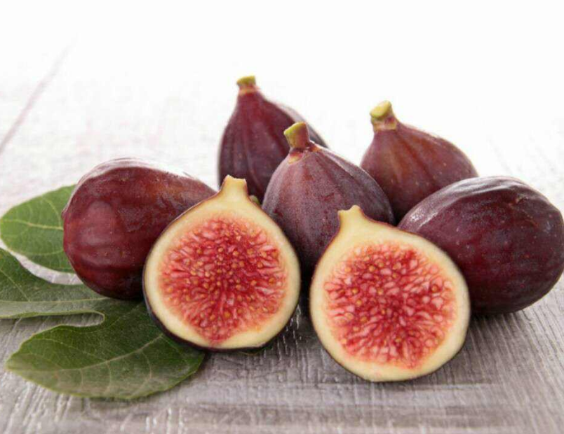  p>无花果(学名: i>ficus carica  /i>linn.)是桑科,榕属植物.