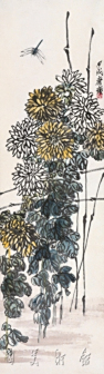 菊花蜻蜓