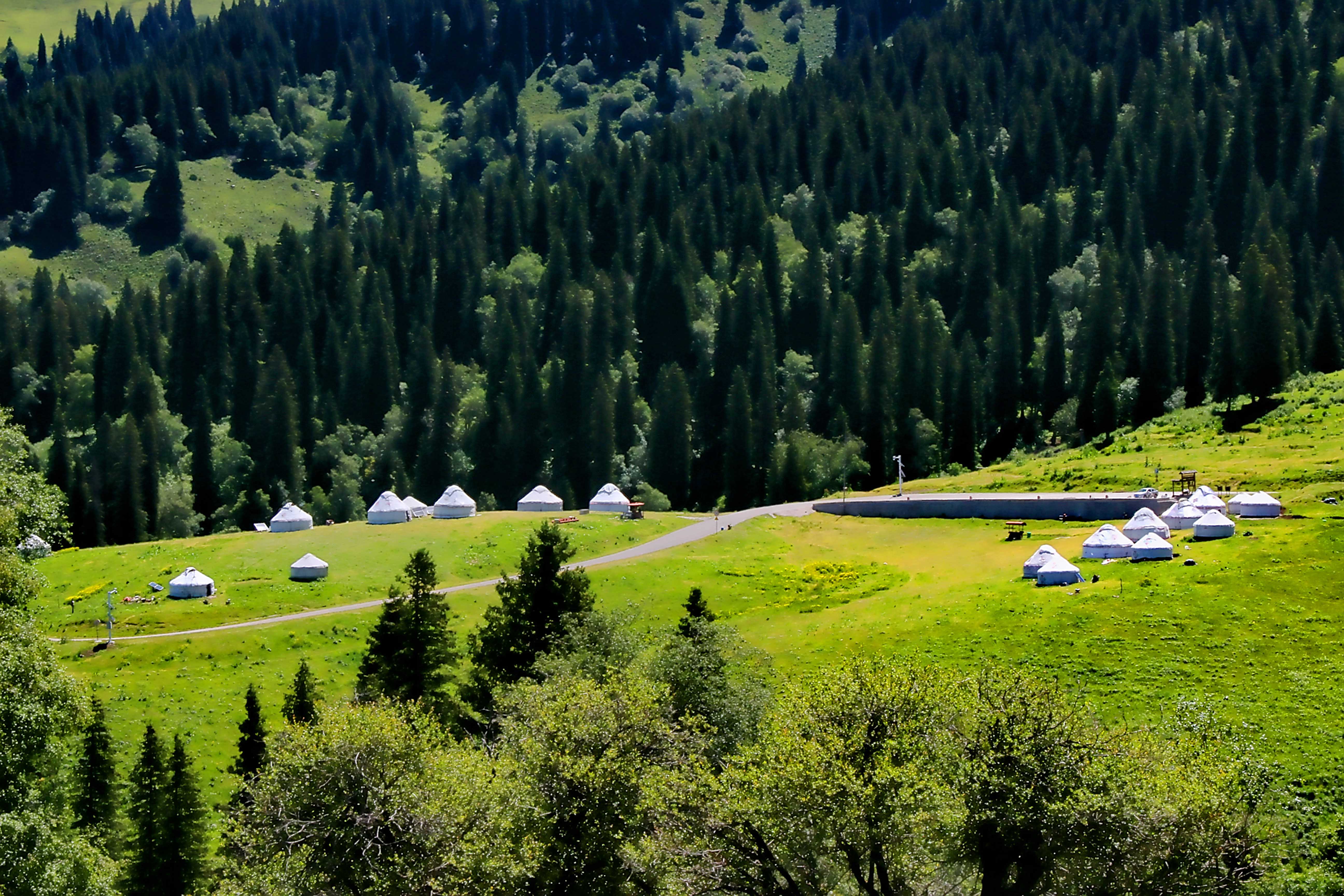 伊犁那拉提草原