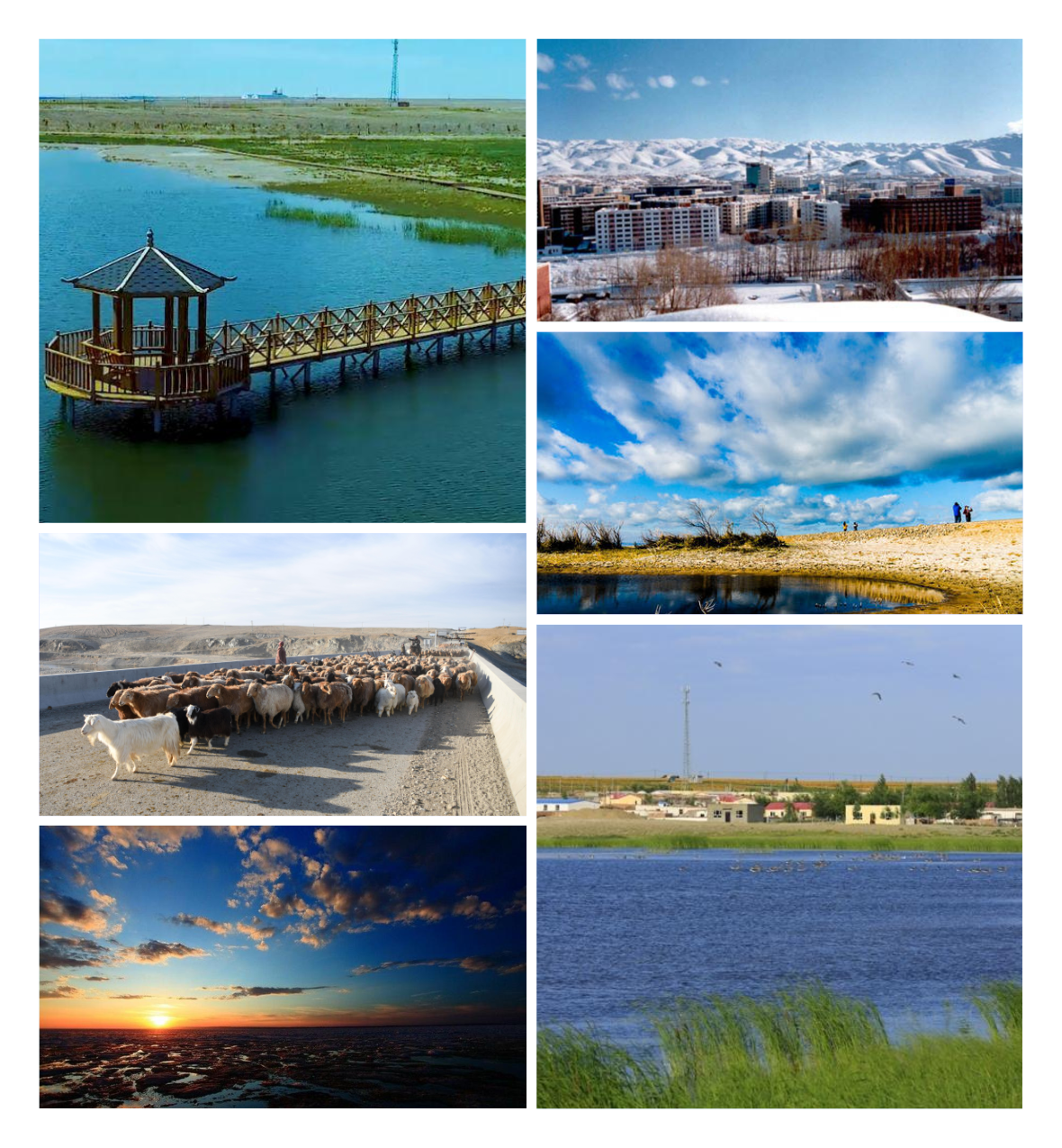 维吾尔自治区 a href="#" data-lemmaid="11029769">阿勒泰地区 /a>