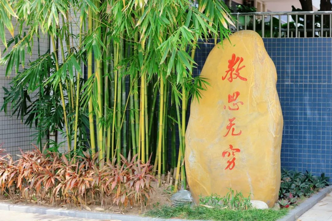  p data-id="td3un3t8bvyt">深圳市宝安区实验学校(集团)海旺学校