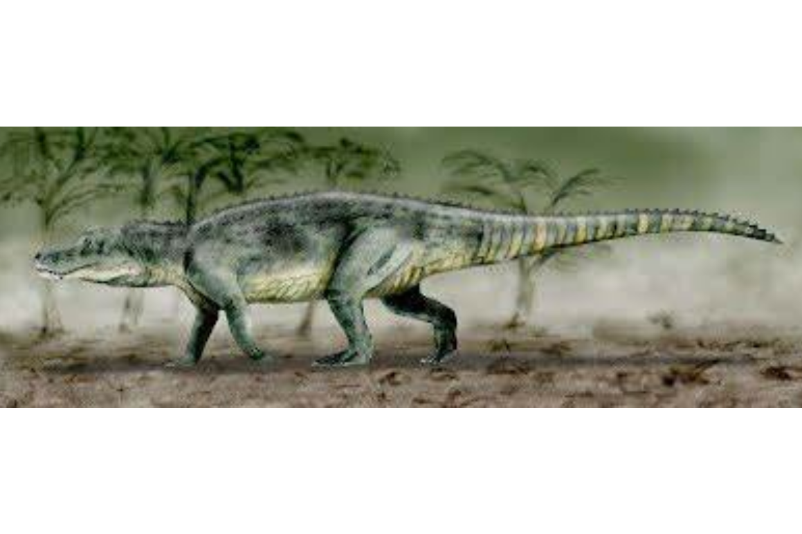  p>长臂鳄属是 a target="_blank" href="/item/劳氏鳄目/6671615"