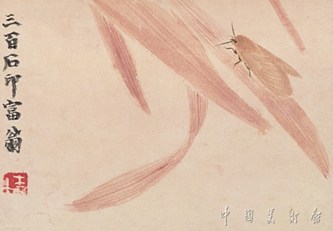 黄蛾