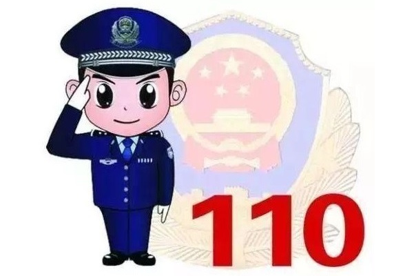 p data-id="go142ks48g">110 是中华人民共和国公安部门报警电话