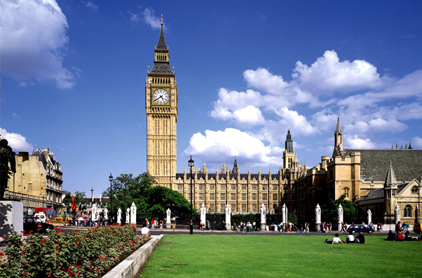 university of connecticut