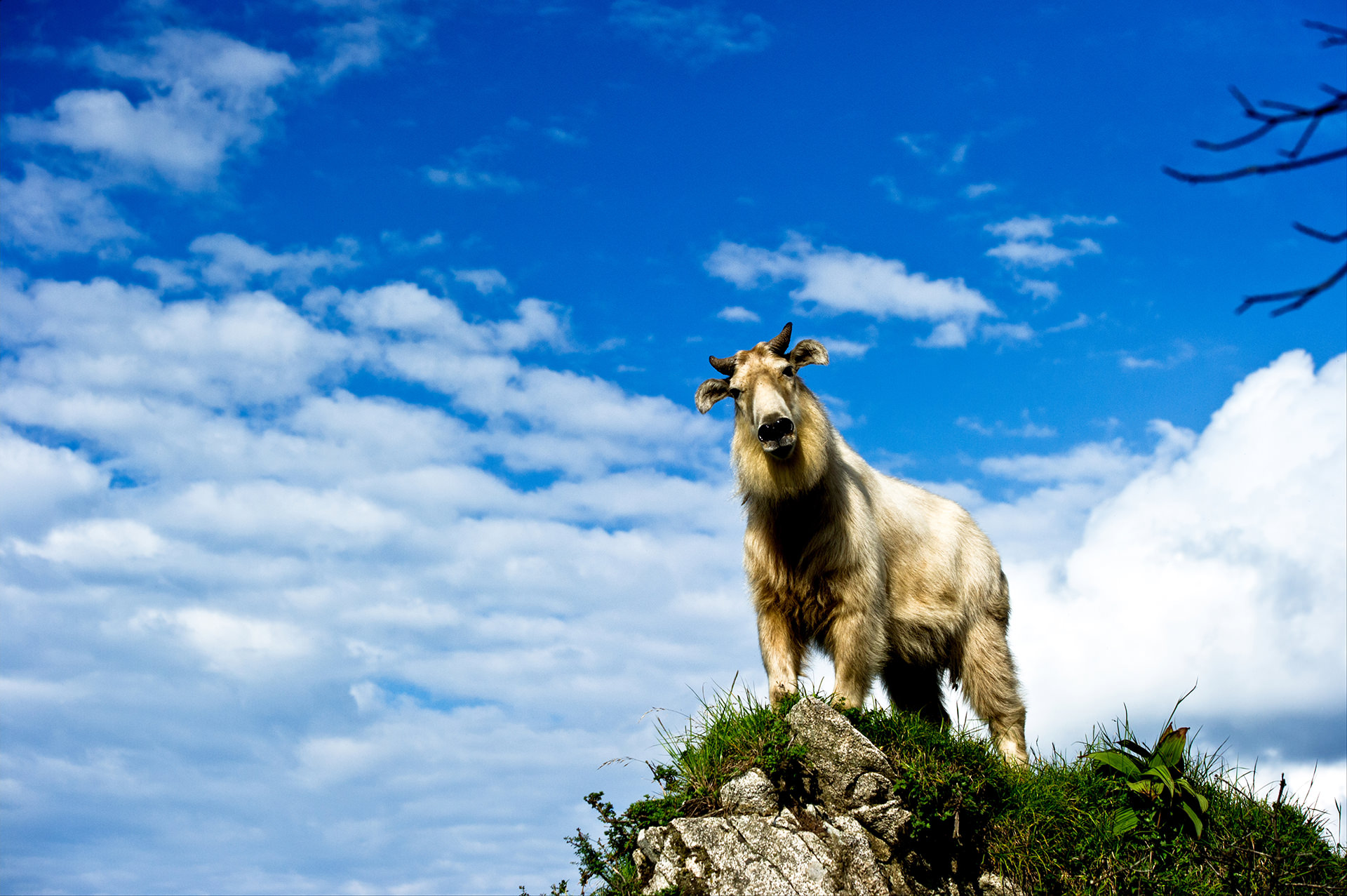 孙晋强摄影作品展