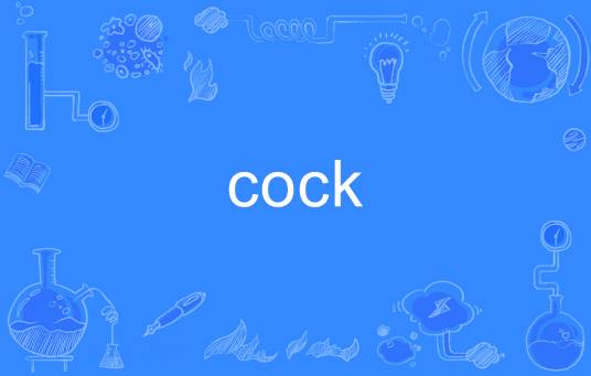 cock_百度百科