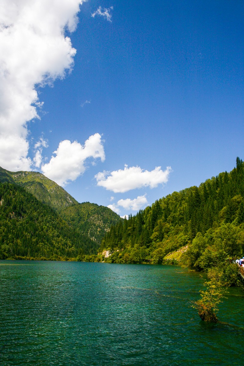 九寨沟景点介绍(九寨沟景点介绍及图片)