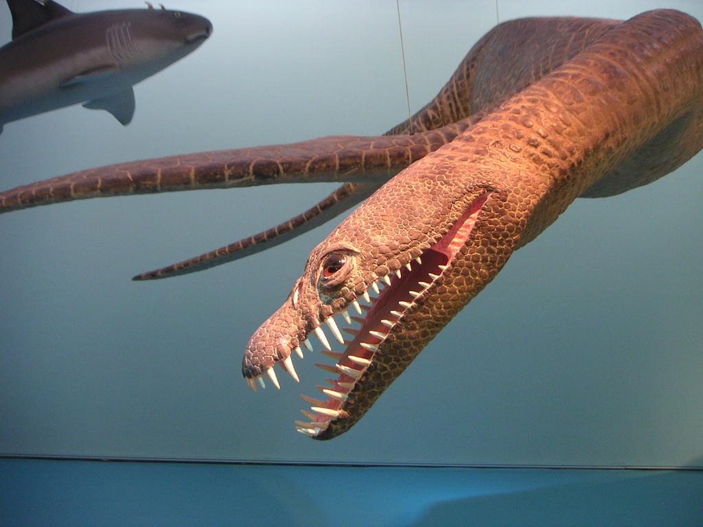 拉玛劳龙(rhomaleosaurus)