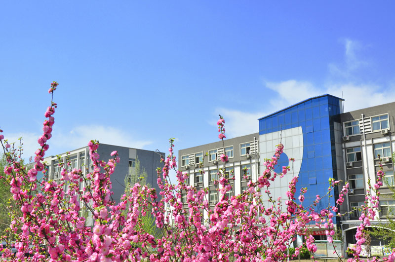 北京财经专修学院