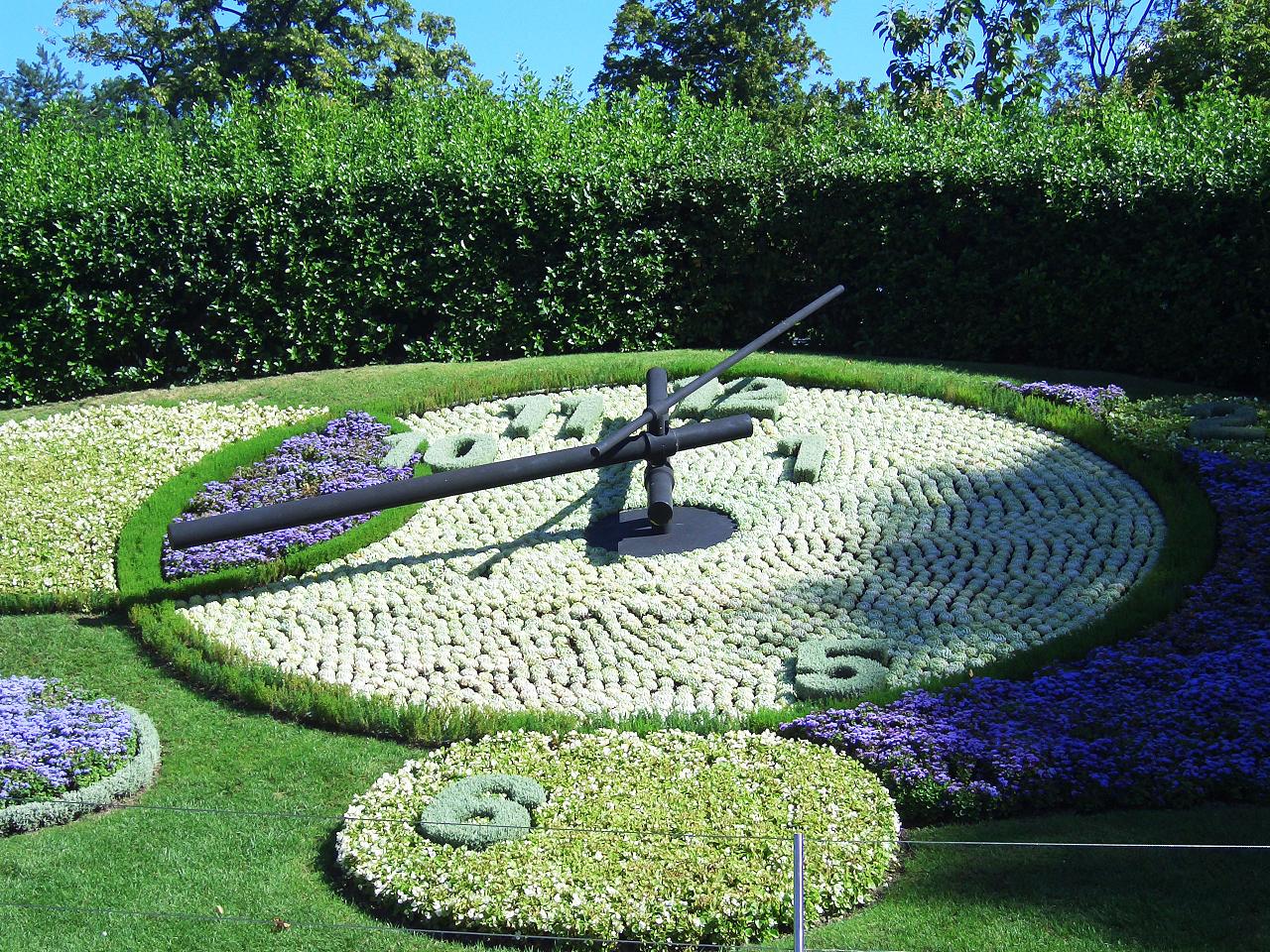 花钟图片大全(十二花钟图片大全) - 123植物网