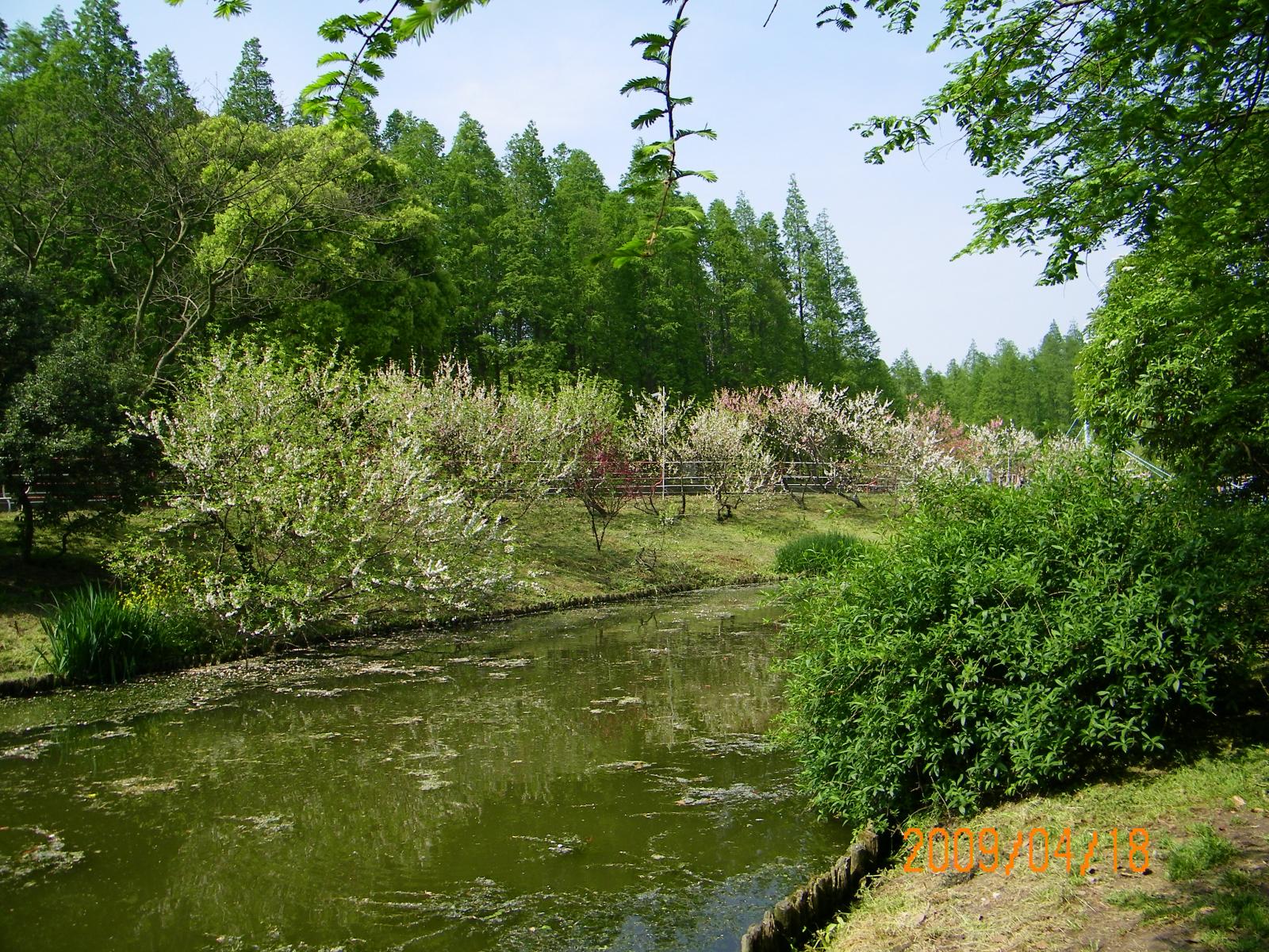  p>沈阳绿岛森林公园酒店是一座国际标准的五星级会议酒店,位于 a