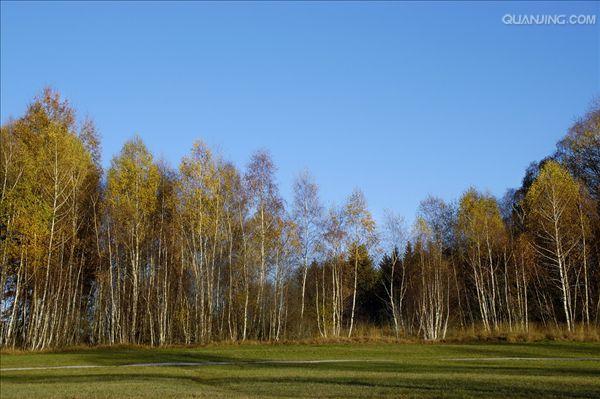 p>桦树是桦木属植物的通称.
