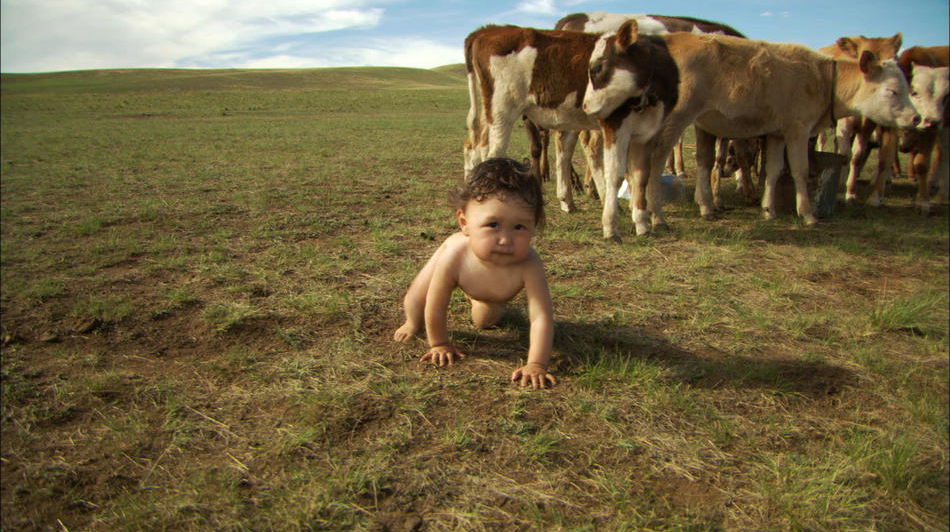 身上落着苍蝇的非洲儿童,物质条件优渥的美日宝宝,和山羊抢洗澡水的