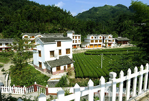 向家村