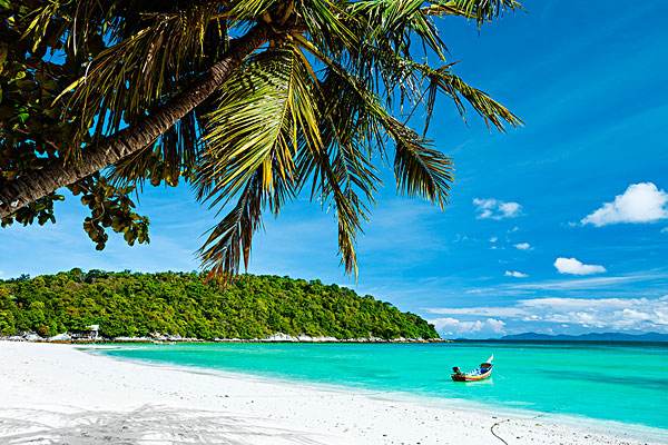 tropical monsoon climate