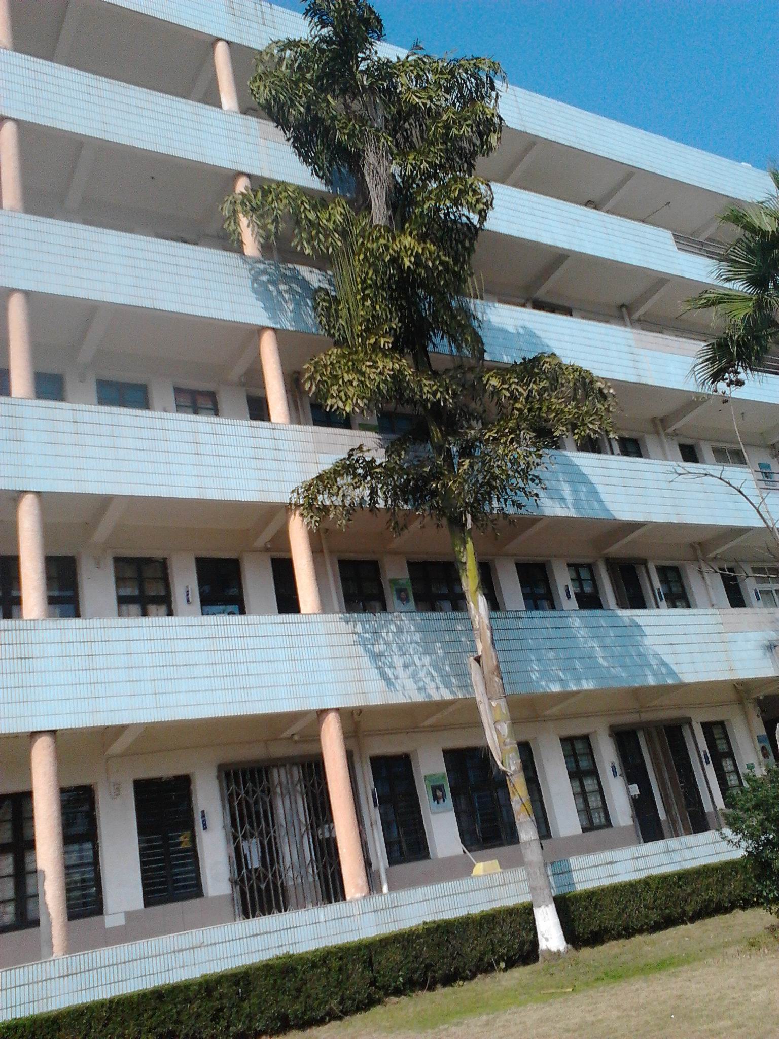 学校,简称 a target="_blank" href="/item/平阳职业中专/8771137"