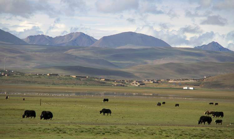  p>措美县是中华人民共和国西藏自治区山南市的下辖县,位于 a target=