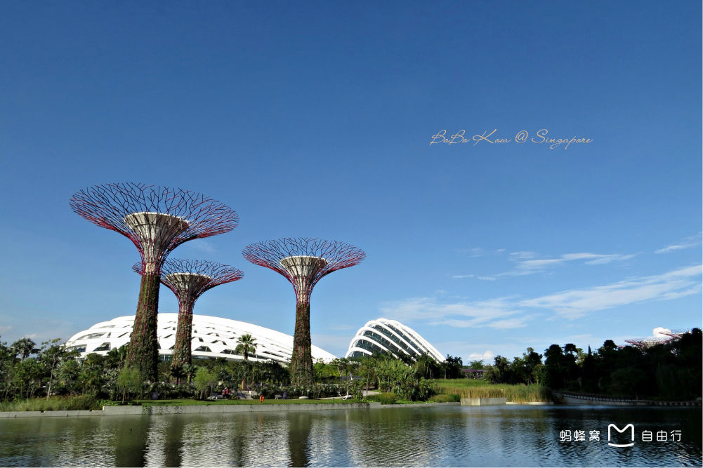 新加坡滨海花园