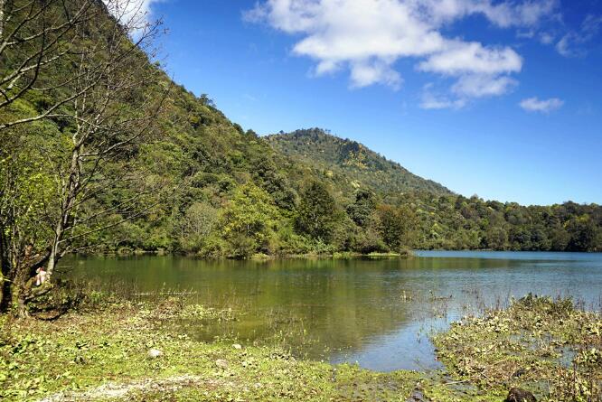 竹林沟自然保护区