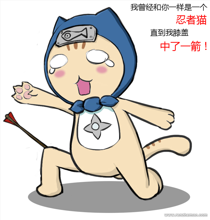  p>忍者猫工作室是一支充满无限创意和激情的年轻团队,以制作好玩,有